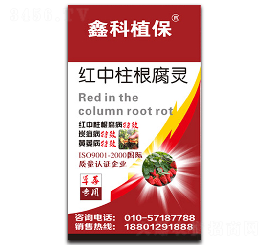 �t���������`����ݮ���ã�-������˹