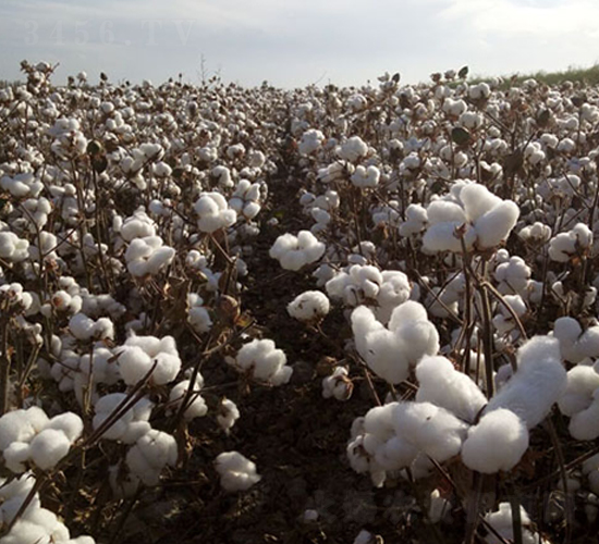 �����50̖-�޻��N��-��ʥ�̷N�I(y��)