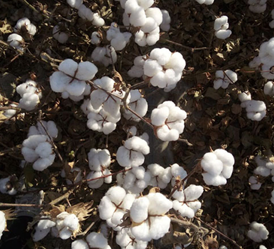 �����57̖(h��o)-�޻��N��-��ʥ�̷N�I(y��)