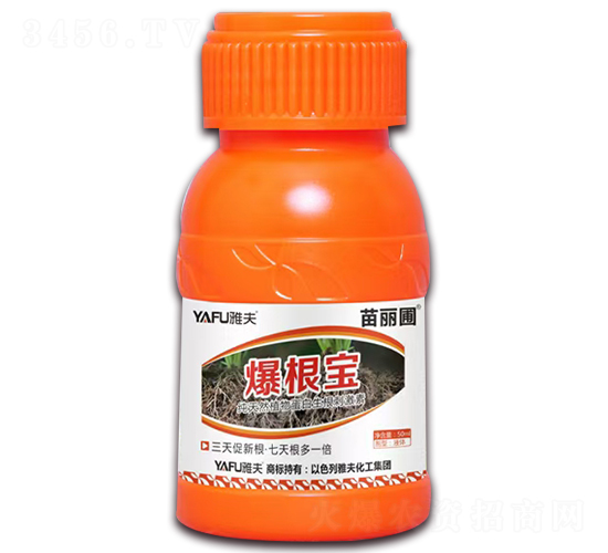 ������-������-�ŷ�