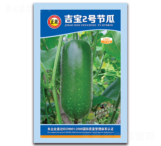 吉寶2號(hào)節(jié)瓜（1901）-節(jié)瓜種子-和利農(nóng)