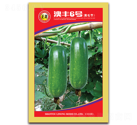 澳豐6號-節(jié)瓜種子-和利農