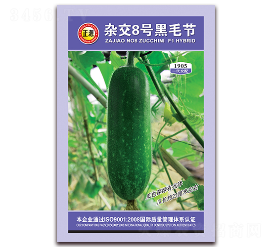雜交8號黑毛節(jié)瓜-節(jié)瓜種子-和利農(nóng)