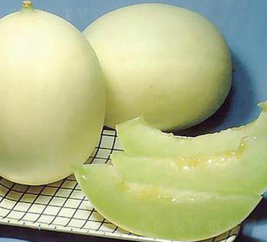 ����-��ϷN��-�����S��