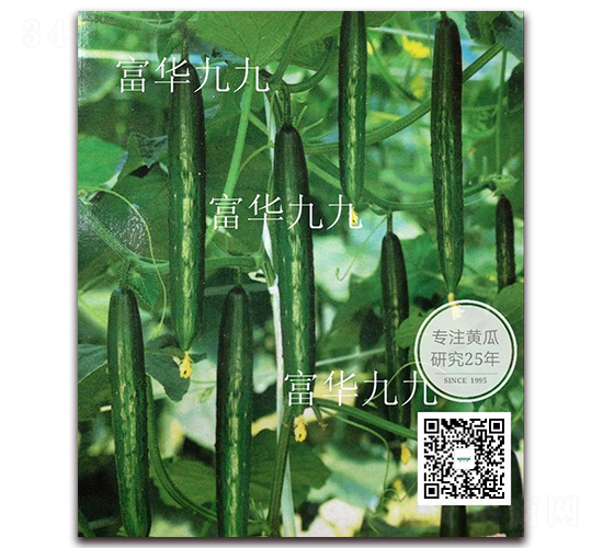 富華九九-黃瓜種子-新干線