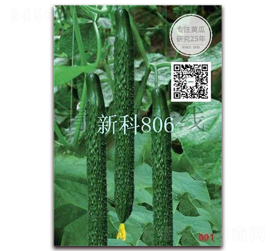 新科806-密刺黃瓜種子-新干線