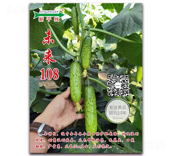 未來(lái)108-黃瓜種子-新干線