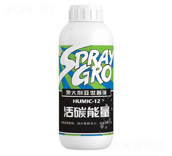 ��̼����-������