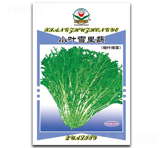 小葉雪里蕻-青菜種子-湘蔬種業(yè)