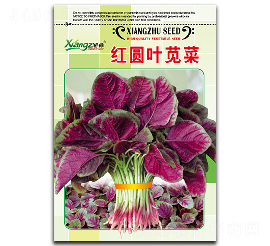紅圓葉莧菜-莧菜種子-湘蔬種業(yè)