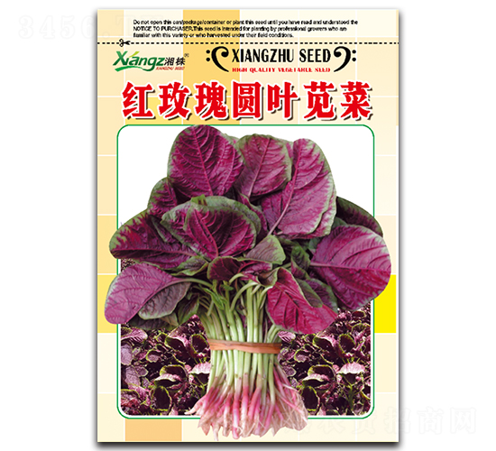 紅玫瑰圓葉莧菜-莧菜種子-湘蔬種業(yè)