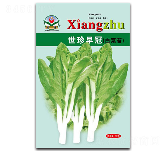世珍早冠-菜苔種子-湘蔬種業(yè)