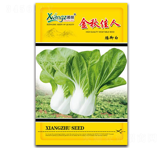 金秋佳人-青菜種子-湘蔬種業(yè)