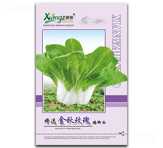 金秋玫瑰-青菜種子-湘蔬種業(yè)