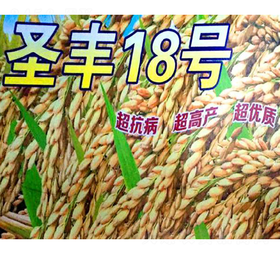 圣豐18號-水稻種子-博科種業(yè)