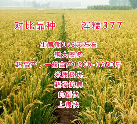 ����377-ˮ���N��-���ƷN�I(y��)