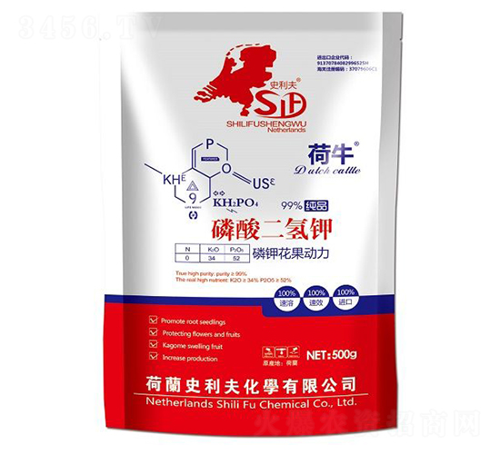 ��������-��⛻�������-ʷ����