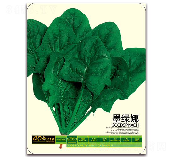 墨綠娜-菠菜種子-三優(yōu)高科