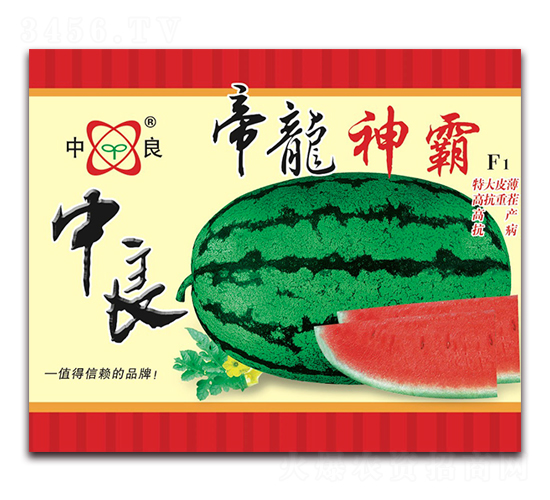 帝龍神霸-西瓜種子-三優(yōu)高科