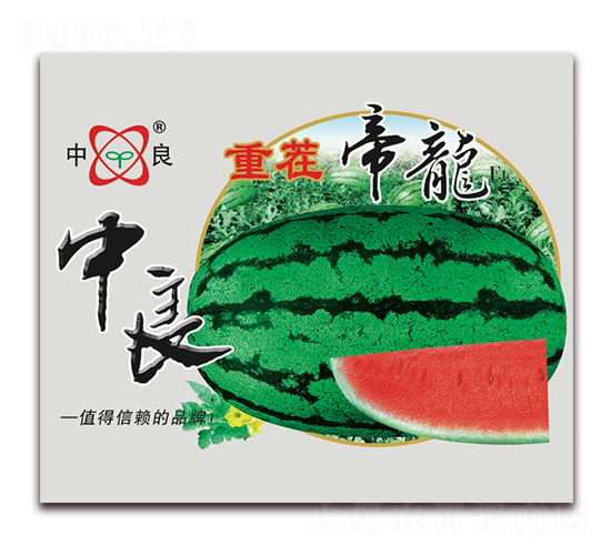 重茬帝龍-西瓜種子-三優(yōu)高科