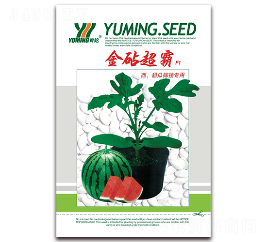金砧超霸-西瓜種子-三優(yōu)高科