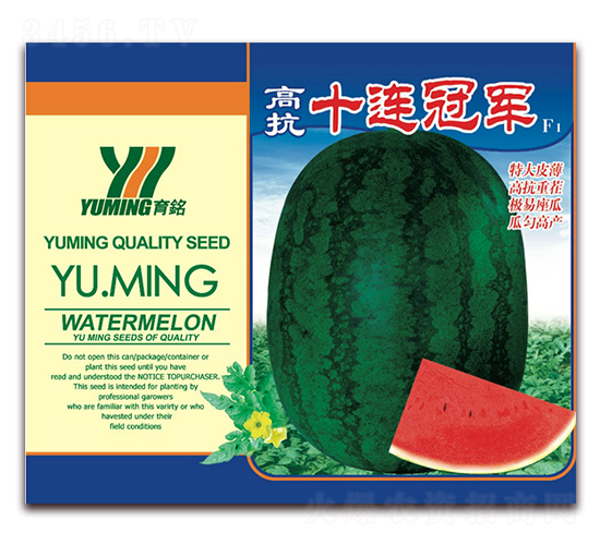 高抗十連冠軍-西瓜種子-三優(yōu)高科