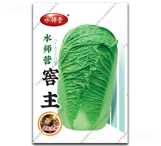 水師營(yíng)窖主-白菜種子-水師營(yíng)