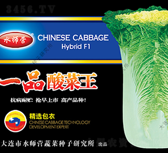 一品酸菜王-白菜種子-水師營