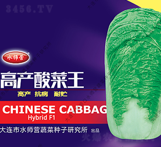 高產(chǎn)酸菜王-白菜種子-水師營(yíng)
