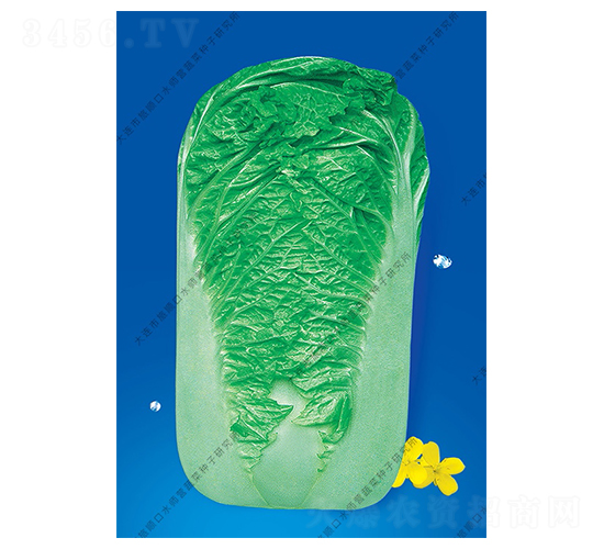 ˮ���I15̖-�ײ˷N��-ˮ���I