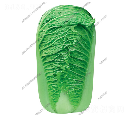 ˮ���I�¾G��̖-�ײ˷N��-ˮ���I