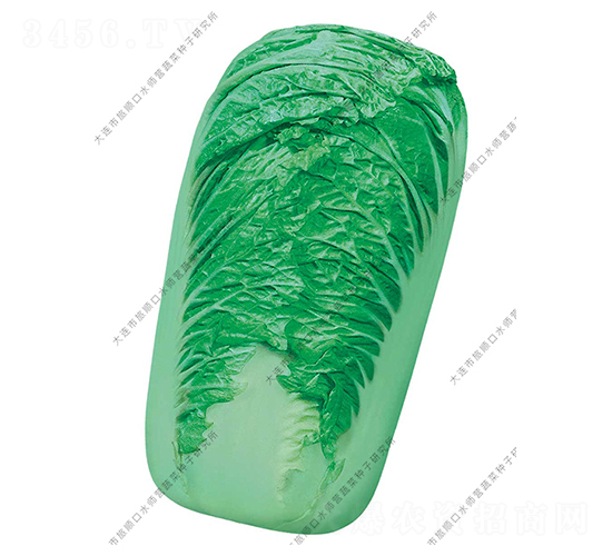 水師營91-12-白菜種子-水師營