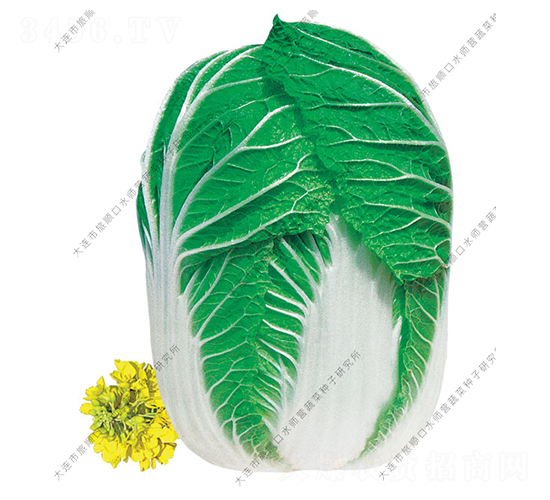 ��M�@-�ײ˷N��-ˮ���I