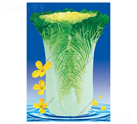 ˮ���I(y��ng)11̖(h��o)-�ײ˷N��-ˮ���I(y��ng)