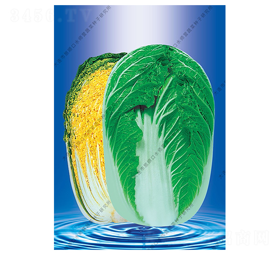 ����58-�ײ˷N��-ˮ���I(y��ng)