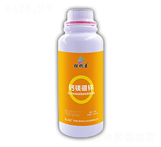 �}�V���\-�u�X������