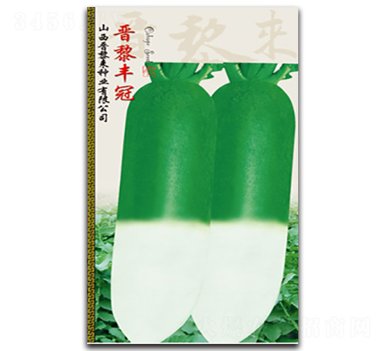 晉黎豐冠-蘿卜種子-晉黎來