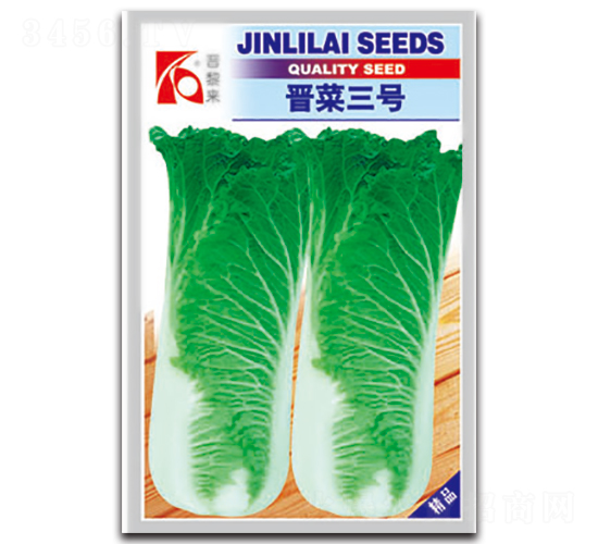 晉菜三號-白菜種子-晉黎來