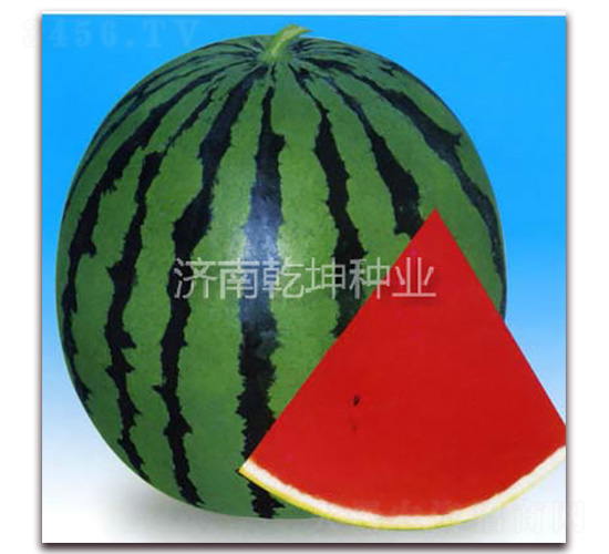 ̩ɽ182-���ϷN��-Ǭ���N�I(y��)