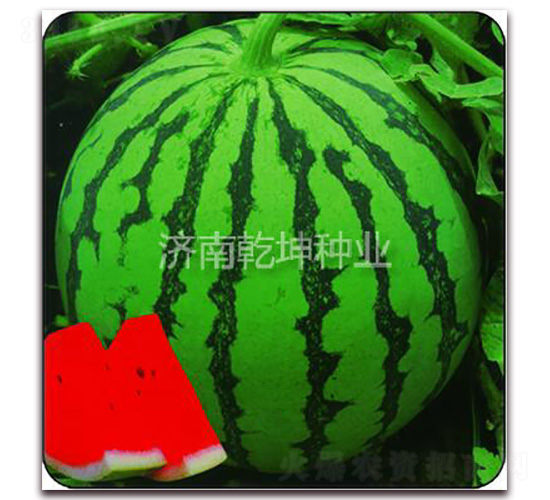 �������-���ϷN��-Ǭ���N�I(y��)