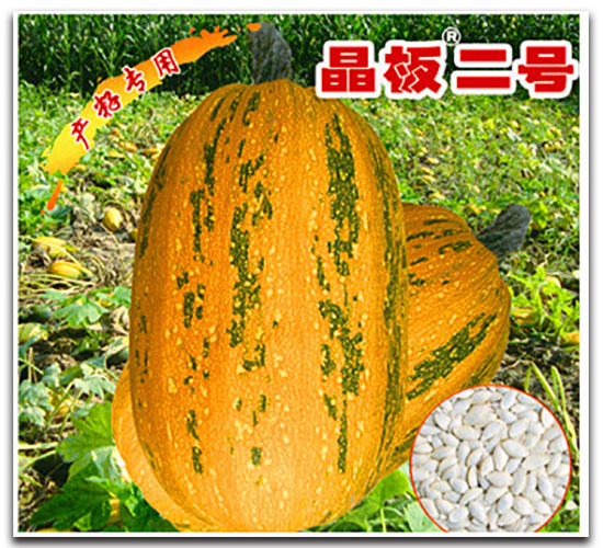 �����̖(h��o)-�����J�N��-�x���(l��i)