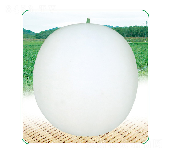 ����3̖(h��o)-��ϷN��-��̩�_(d��)