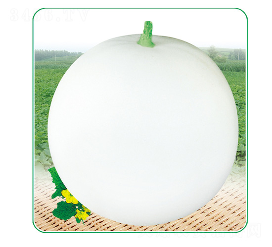 ����2̖(h��o)-��ϷN��-��̩�_(d��)