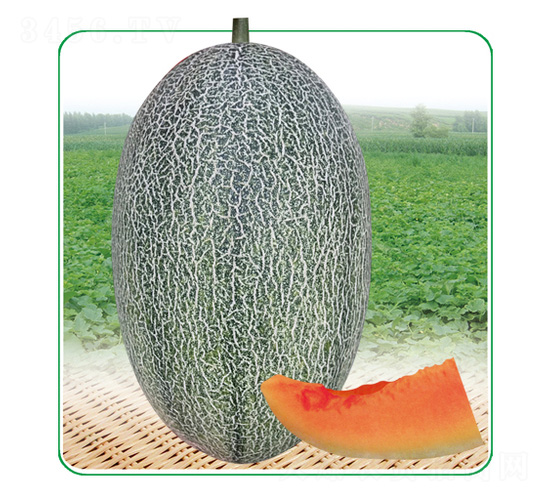 ��̩��17-��ϷN��-��̩�_