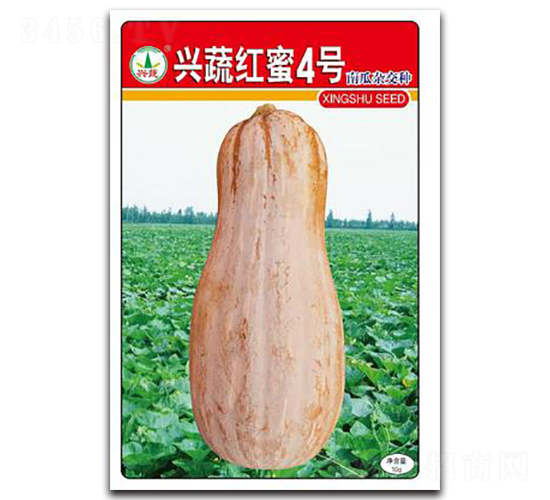 �d�߼t��4̖(h��o)-�ϹϷN��-�d�߷N�I(y��)