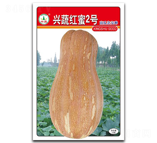 �d�߼t��2̖-�ϹϷN��-�d�߷N�I(y��)