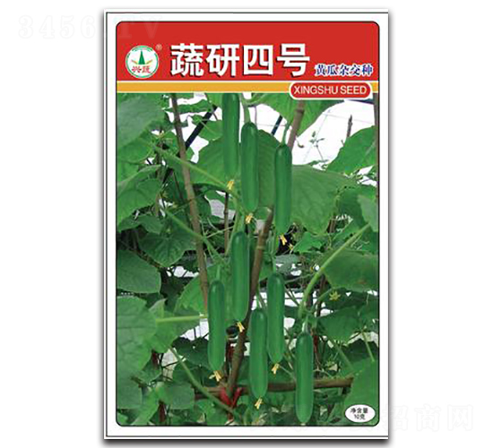蔬研四號(hào)-黃瓜種子-興蔬種業(yè)