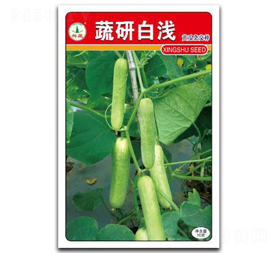蔬研白淺-黃瓜種子-興蔬種業(yè)