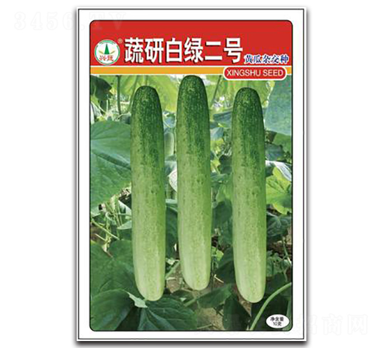蔬研白綠2號-黃瓜種子-興蔬種業(yè)