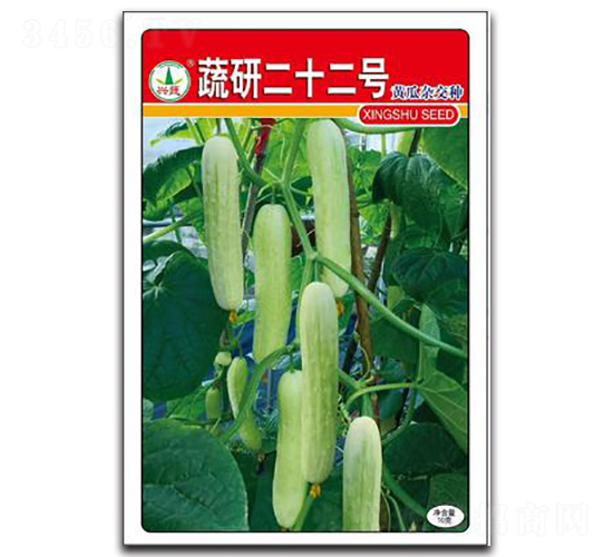蔬研22號-黃瓜種子-興蔬種業(yè)